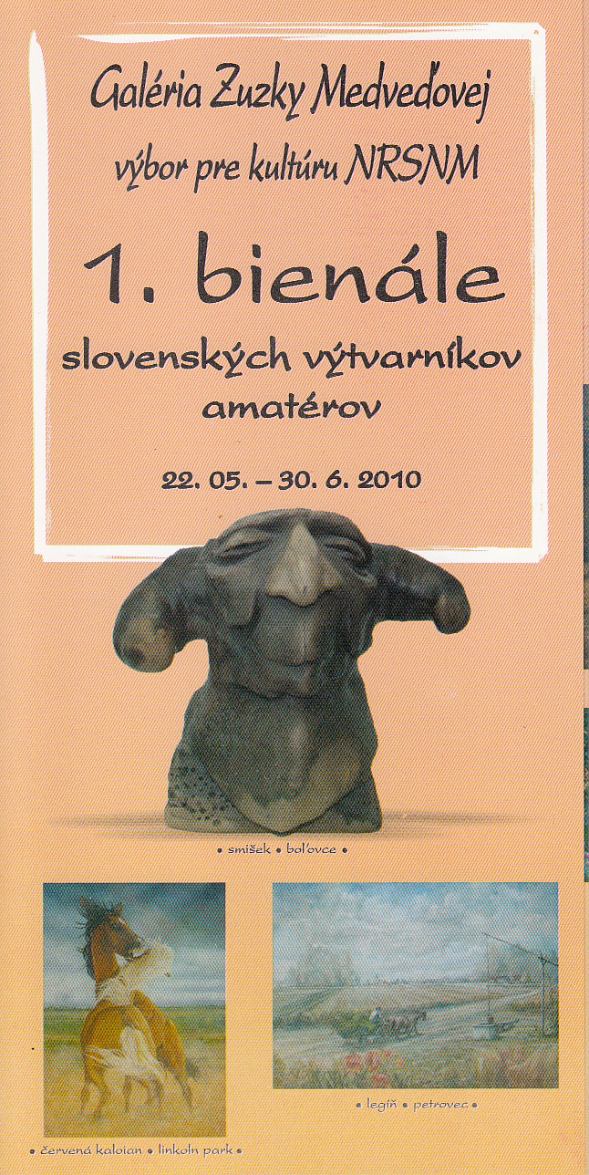 1-bienale-amaterov2010-i