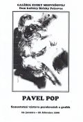 Pavel Pop